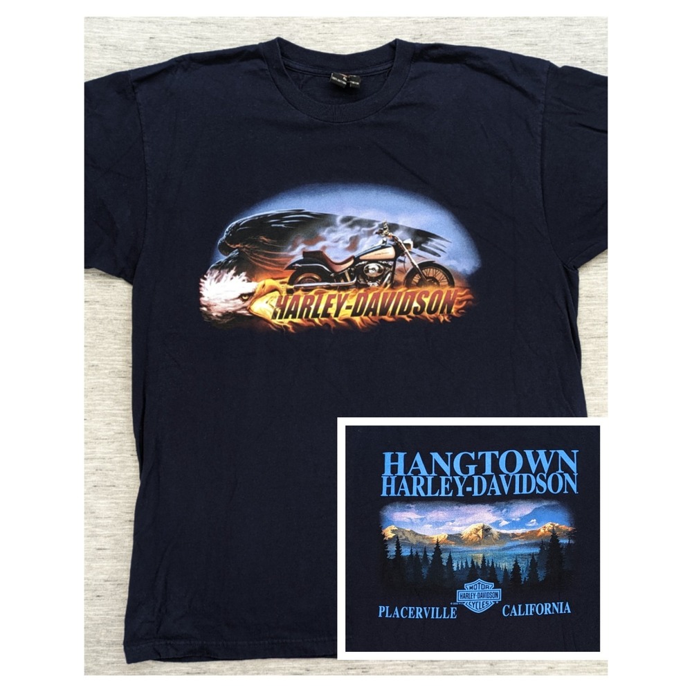 Vtg Harley Davidson 2001 Y2K Graphic T Shirt XL Eagle Flames California USA Blue